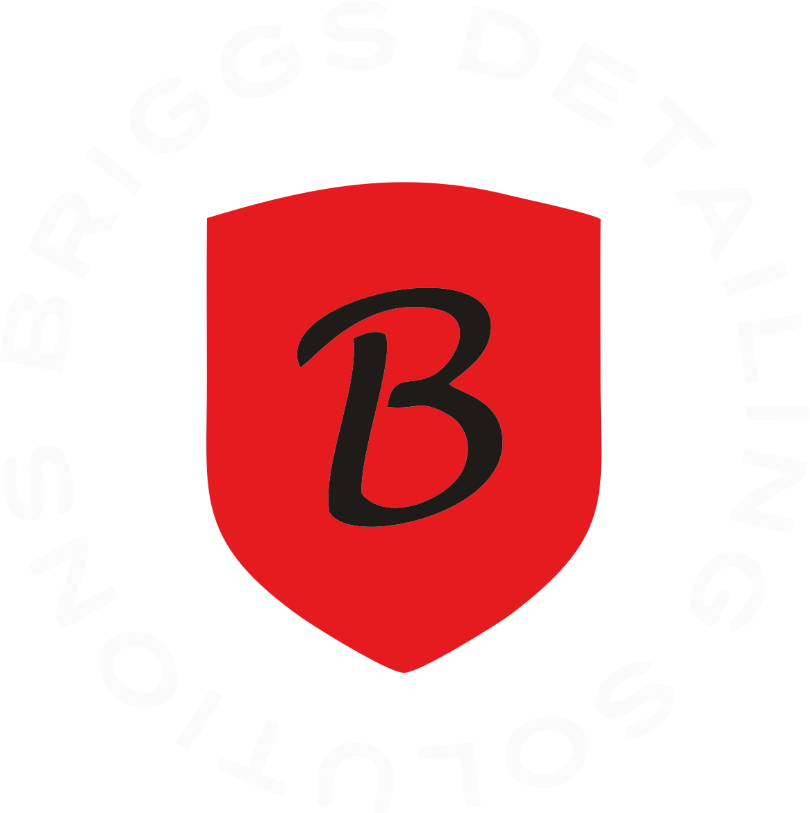 logo briggs